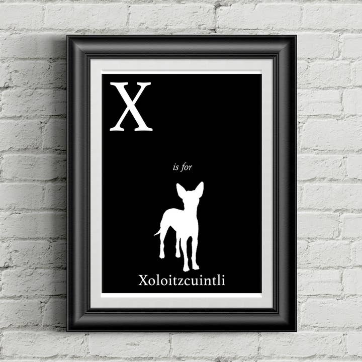 X is for Xoloitzcuintli - Stampa artistica con alfabeto, 21,6 x 27,9 cm per la vendita all'ingrosso da parte di Sophisticated Pup