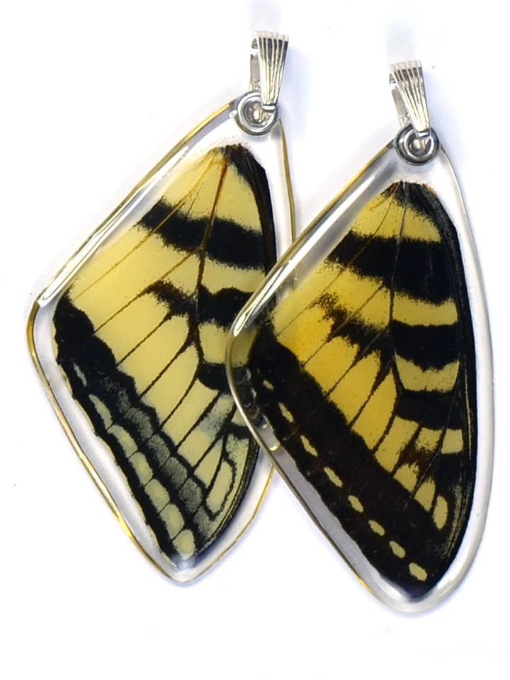 0270 Butterfly Pendant ONLY, Eastern Tiger Swallowtail, top for wholesale by Wingstitution