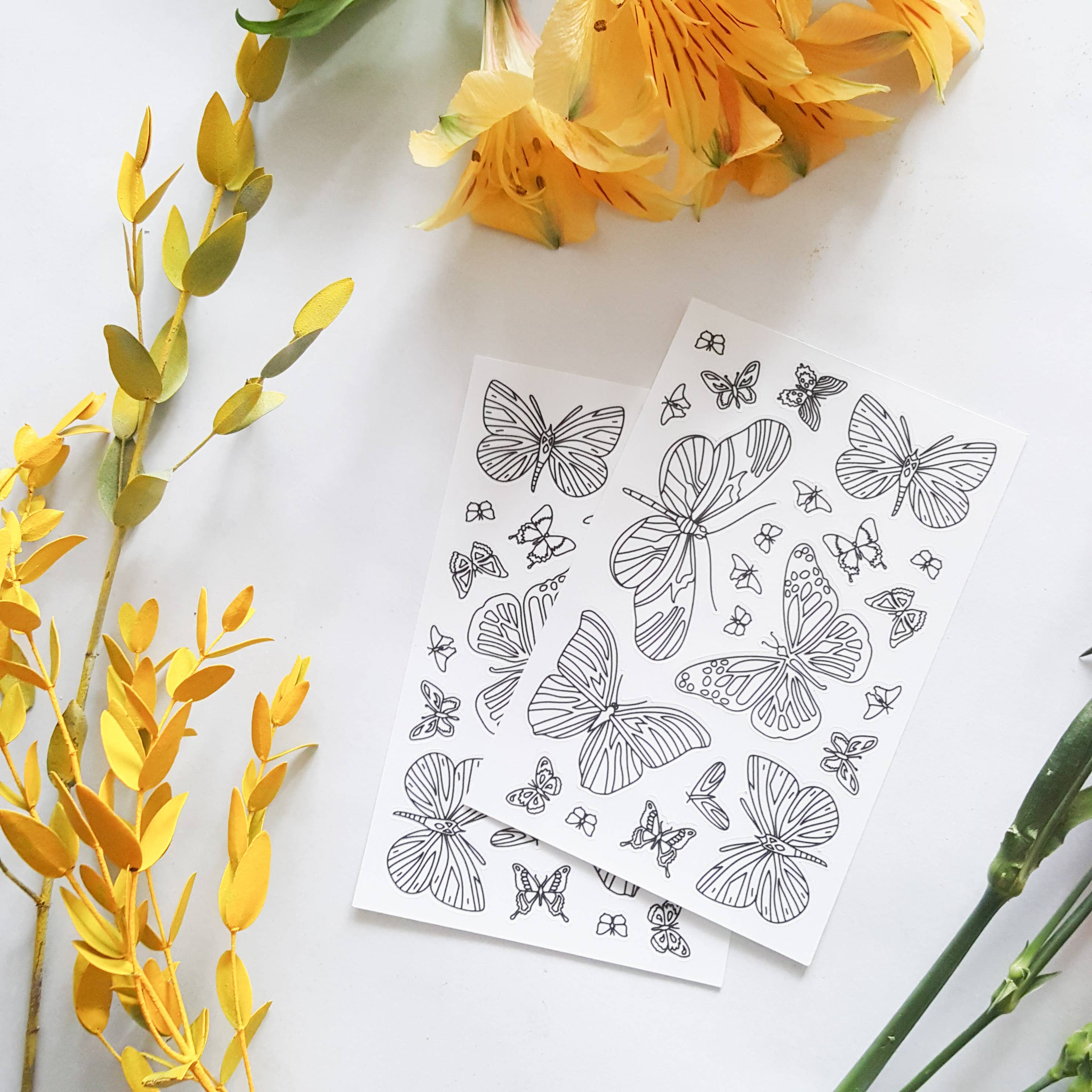 Anna Grunduls Design - Wholesale Sticker - Butterfly Coloring Stickers, 2 Sheets2