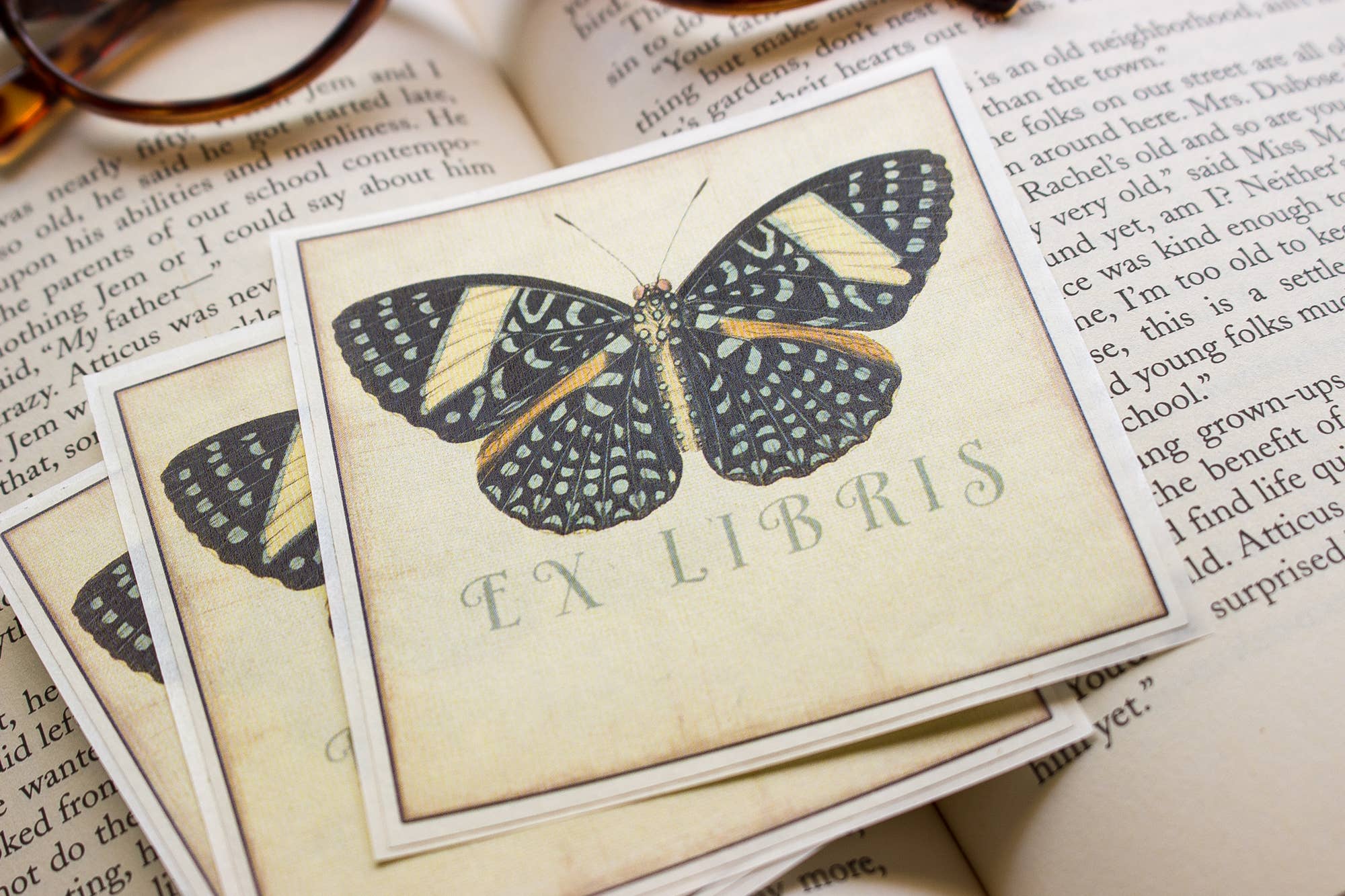 Sunshine and Ravioli - Wholesale Book Plate - Black Butterfly Bookplates2