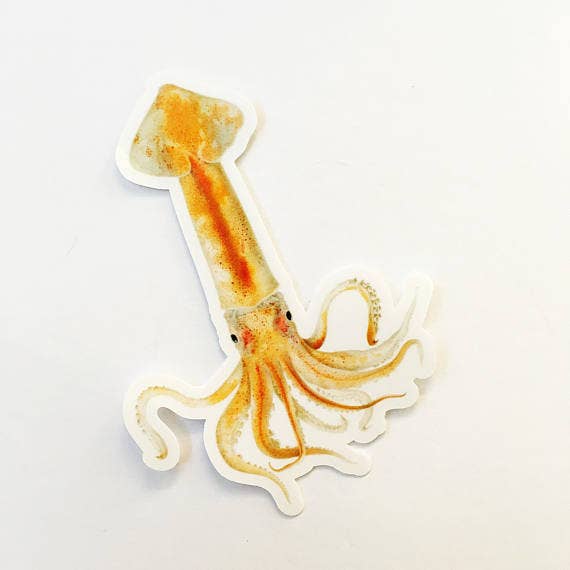 Pergamo Paper Goods - Wholesale Sticker - Squid Vintage Image Sticker