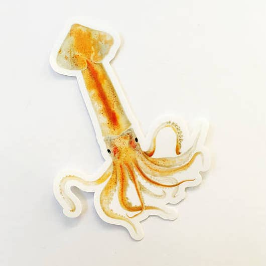 Pergamo Paper Goods - Wholesale Sticker - Squid Vintage Image Sticker0