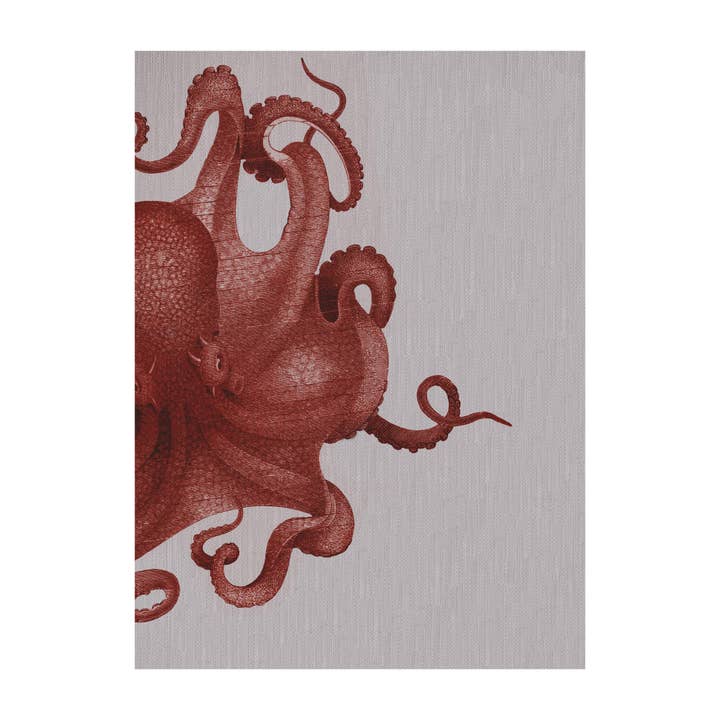 Bläckfisk studie korall tyg galleri lindade väggkonst för wholesale av SPLASHWORKS