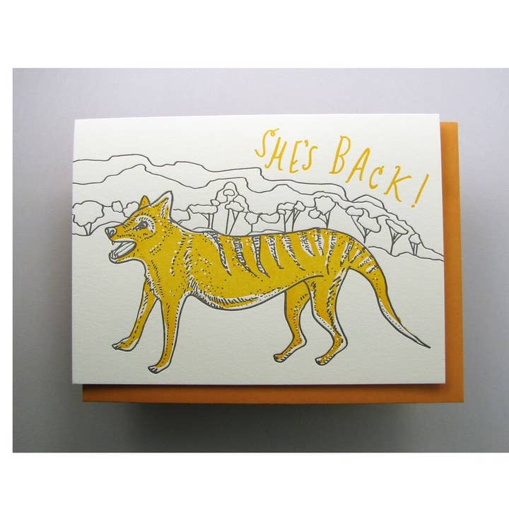 Tiger hon är tillbaka för wholesale av Wolf & Wren Press