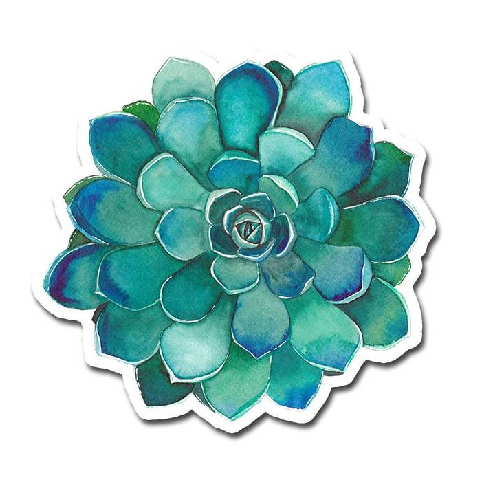 Teal Succulent Sticker for wholesale by Kimposed