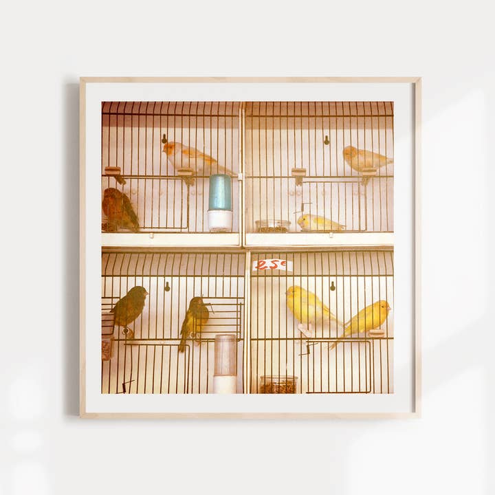 Alicia Bock Print Shop - Wholesale Art Print - Marche Aux Oiseaux Wall Art2