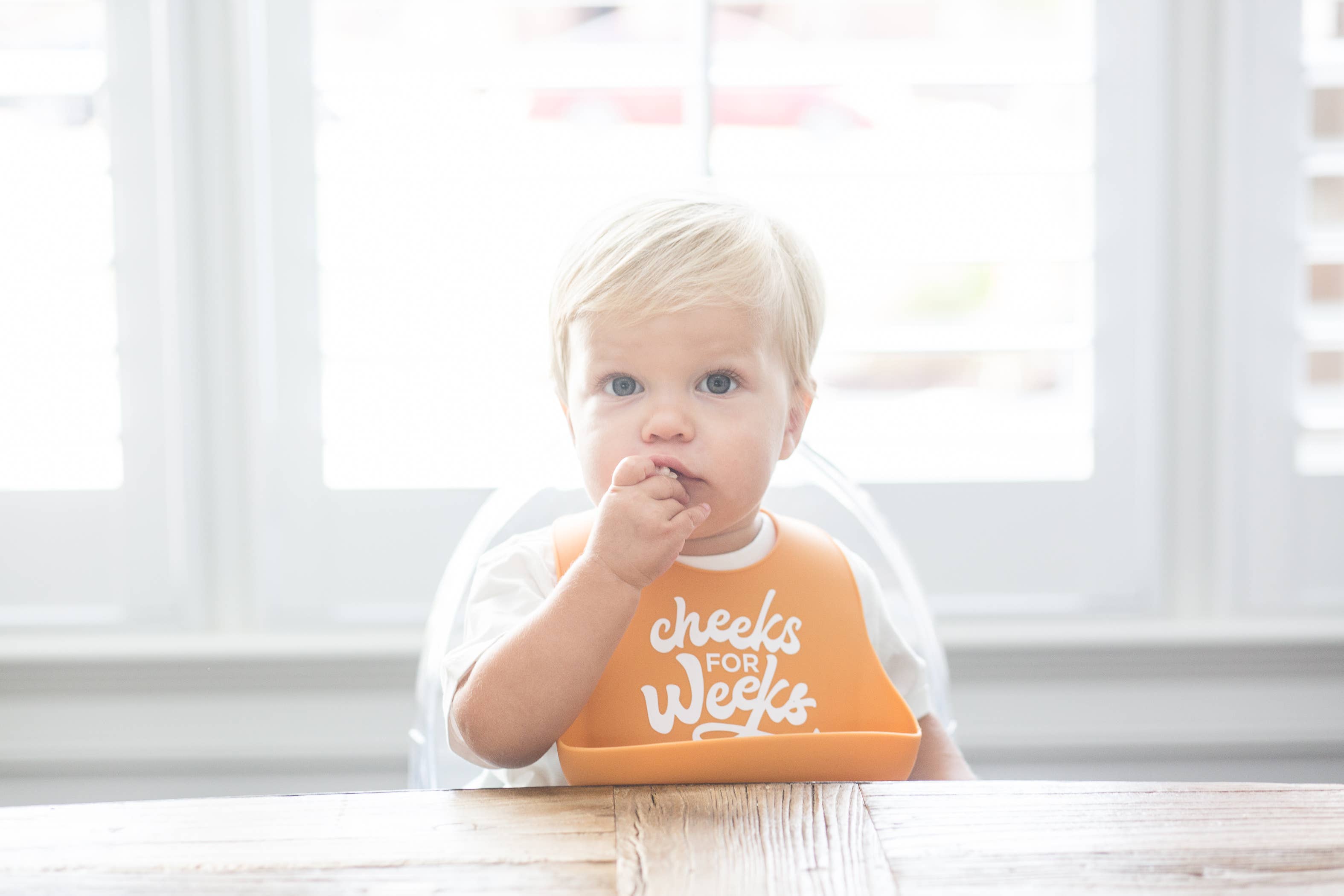 Bella Tunno - Wholesale Bib - Baby - Cheeks For Weeks Wonder Bib1