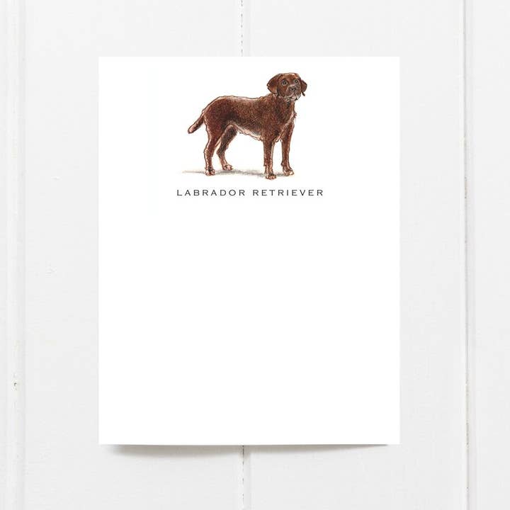 Set of 6 Labrador (Chocolate) Note cards for wholesale by Fable & Sage