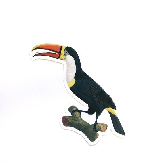Pergamo Paper Goods - Wholesale Sticker - Toucan Sticker1