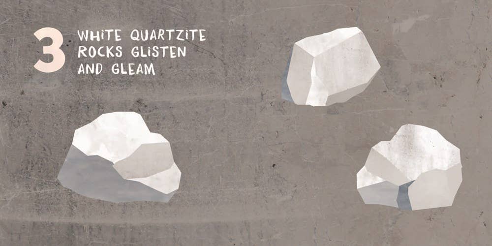 Familius, LLC - Wholesale Baby & Toddler Book (0-2) - Let’s Count Arizona1