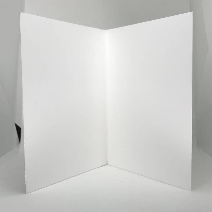 Sean Holloran Art – wholesale Stationery/notecard set – 'Green Is Good' : Note Card