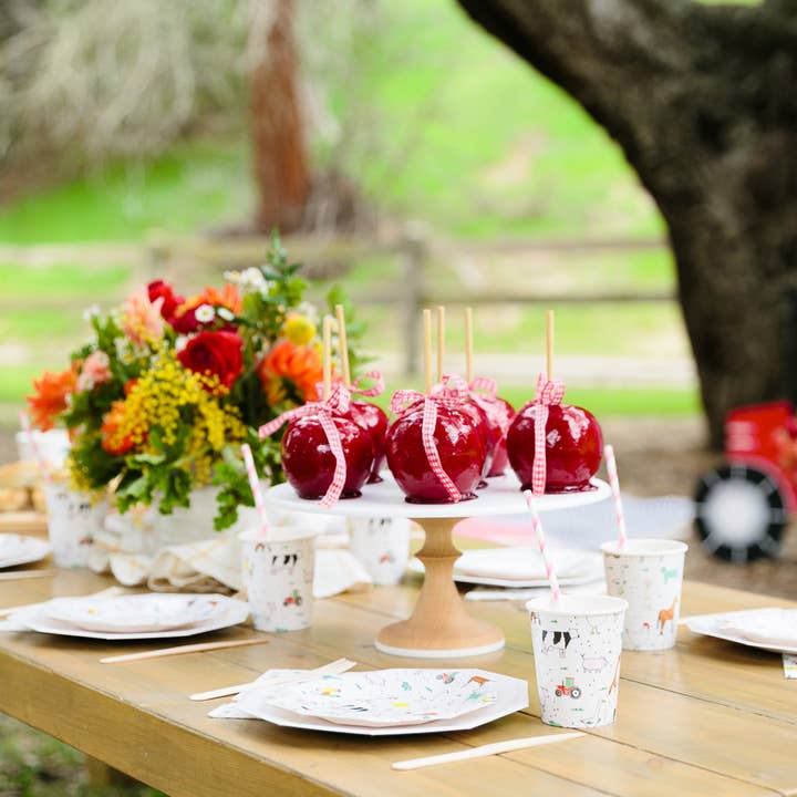 Jollity & Co. + Daydream Society - Wholesale Disposable cup - On the Farm 9 oz Cups - 8 Pk.1