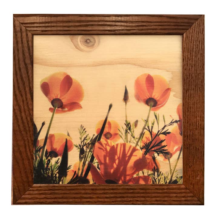 5x5 Poppies Wood Print for wholesale by Lancaster Wood Prints