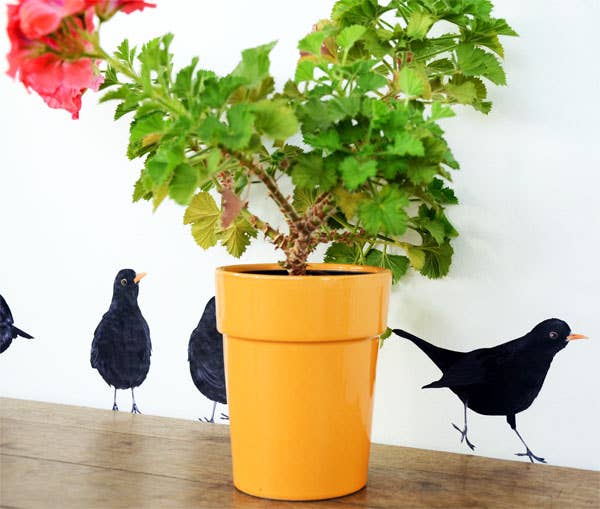 MYRTE - Wholesale Wall Decal/Stickers - Blackbird Illustration Wall Decal7