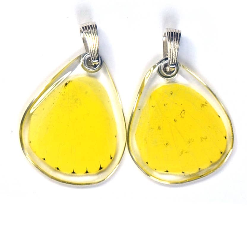 Wingstitution - Wholesale Individual Charm/Pendant - 0245 Butterfly Pendant ONLY, Grass Yellow, bottom wing0