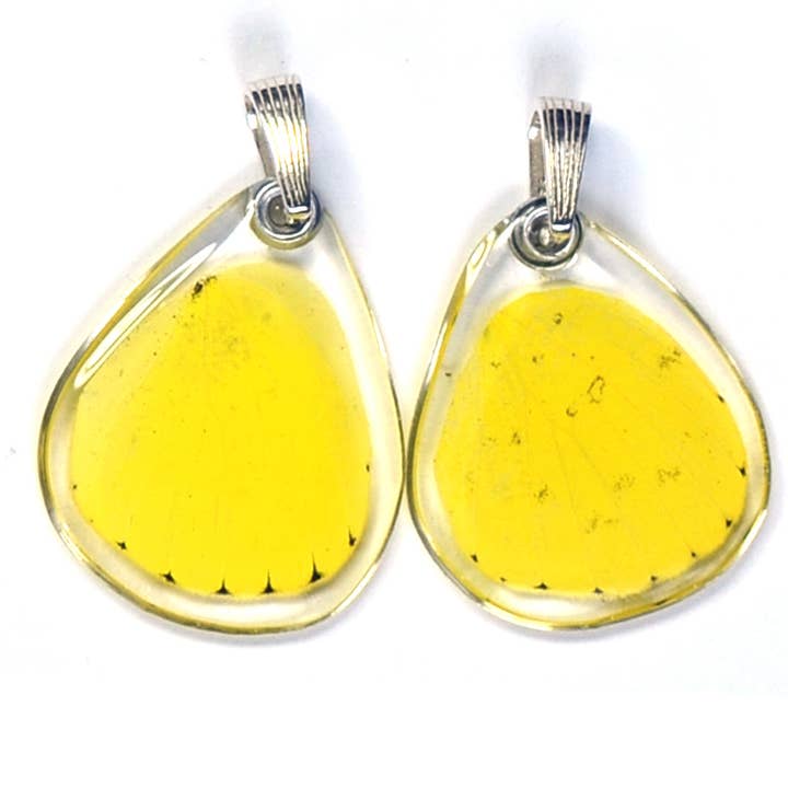 Wingstitution - Wholesale Individual Charm/Pendant - 0245 Butterfly Pendant ONLY, Grass Yellow, bottom wing