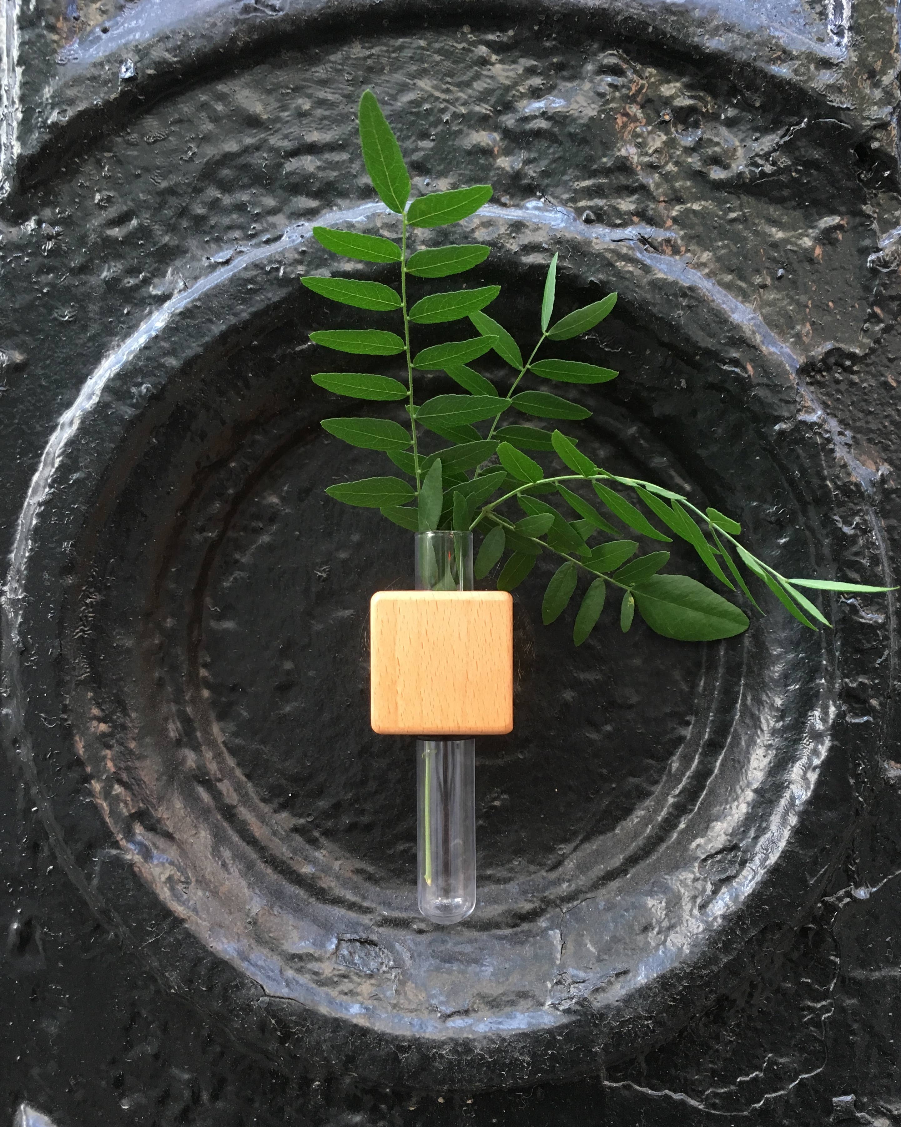 FUNNYFISH - Vente Vases - Vase cube magnétique intelligent - Clair (unité unique)5