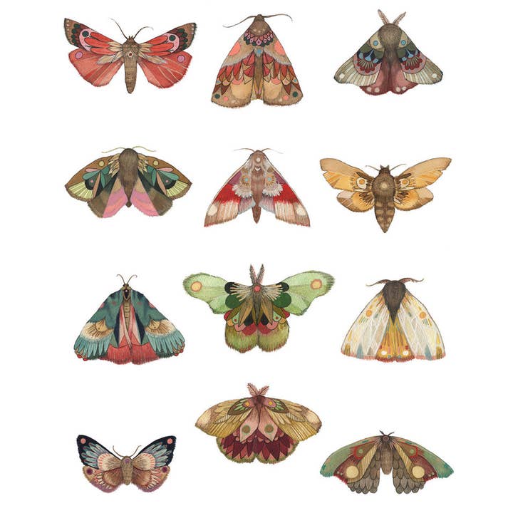 Polanshek of the Hills - Vente Affiche d'art - Série de mites 11"x14" - Collecteur1