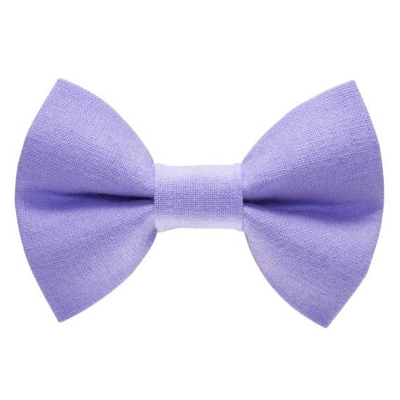 The Purrrple Rain - Cat / Dog Bow Tie for wholesale by Sweet Pickles Designs
