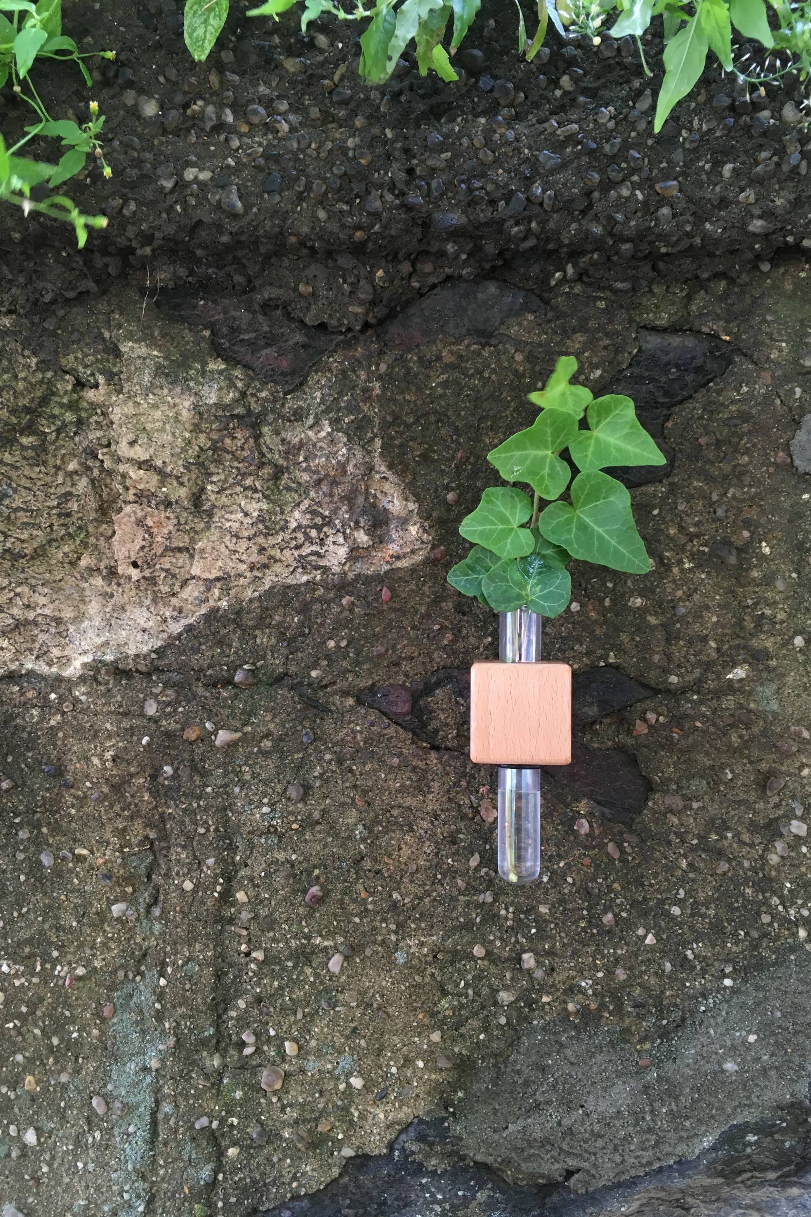 FUNNYFISH - Vente Vases - Vase cube magnétique intelligent - Clair (unité unique)6