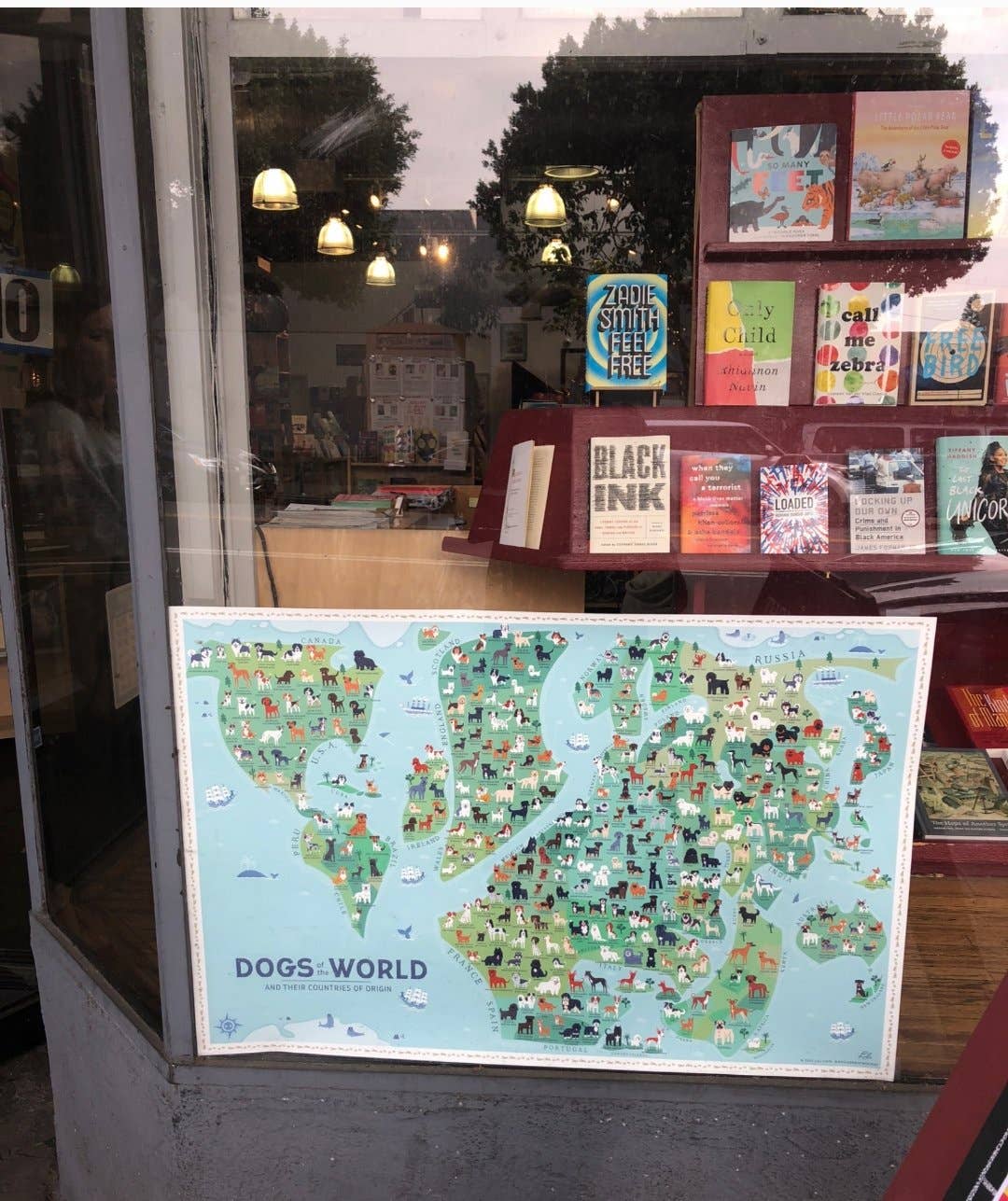 Lili Chin Art - Wholesale Poster - 36'' x 24'' Dogs of the World Map Poster2