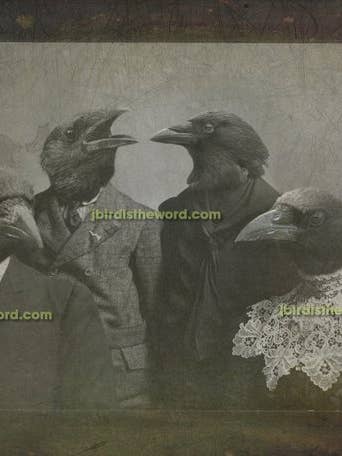 Murder Family Print, Crows Ravens, Gothic Decor for wholesale by The Wild Oddisorium