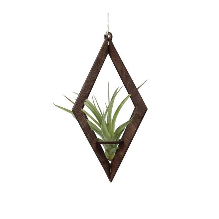 Savvie Studio - Wholesale Hanging Planter - Air Plant Hanger Diamond Walnut