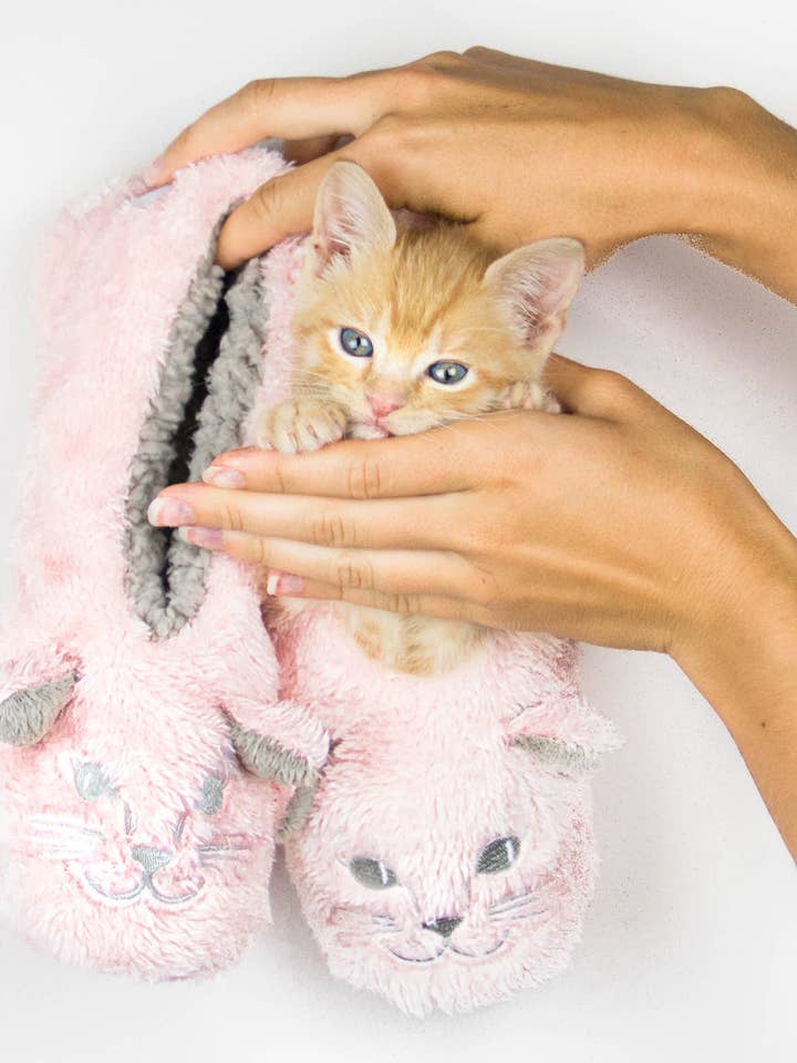 Cat Naps Footsies for wholesale by Faceplant Dreams