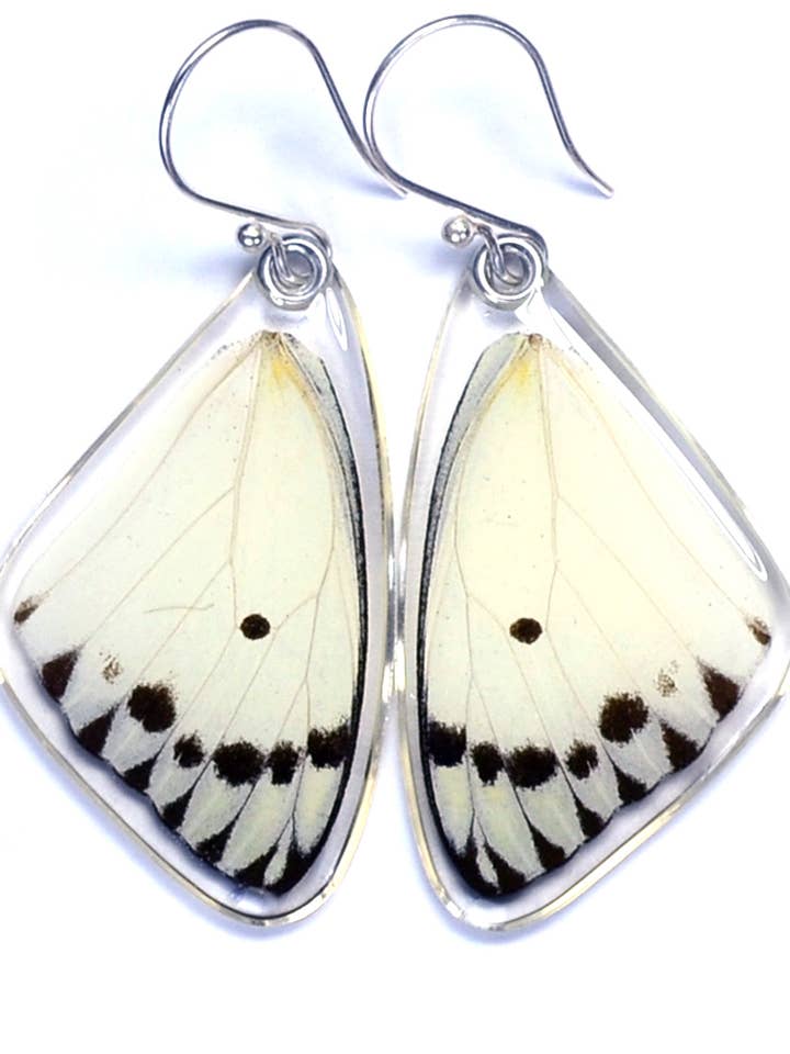 0250 Butterfly Earrings, Calypso Caper White, top wings for wholesale by Wingstitution