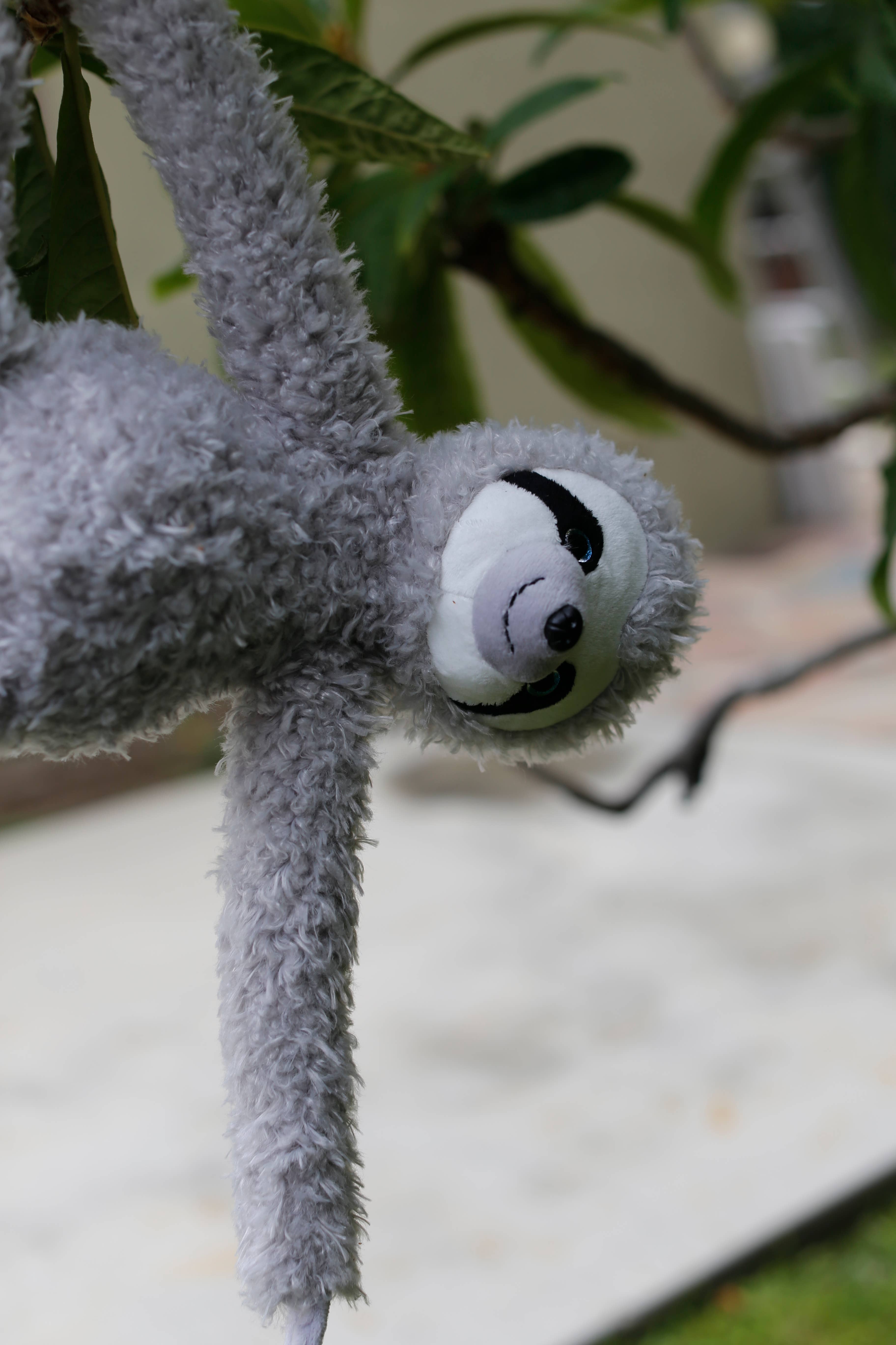 Plushland - Vendita all'ingrosso Peluche - Bambini e neonati - Slowla il bradipo degli alberi1