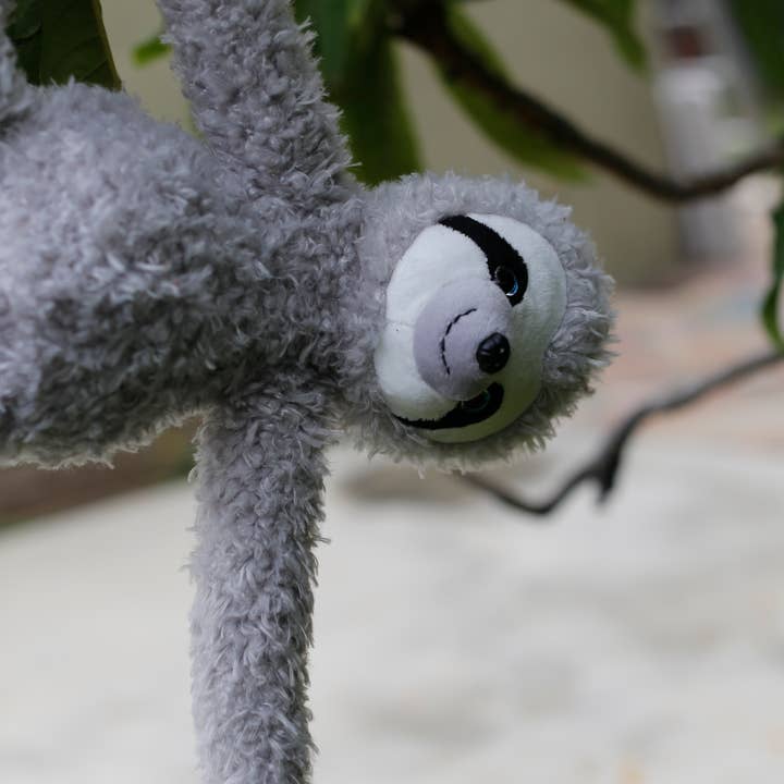 Plushland - Wholesale Stuffed/Plush Toy - Kids & Baby - Slowla the Tree Sloth1