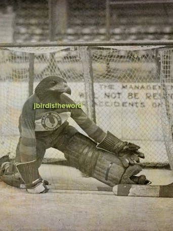 Blackhawk Print, Hockey Goalie Sports Art Decor for wholesale by The Wild Oddisorium