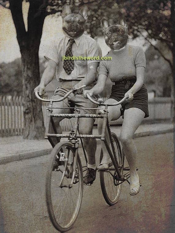 Frenchies Dog Print for wholesale by The Wild Oddisorium