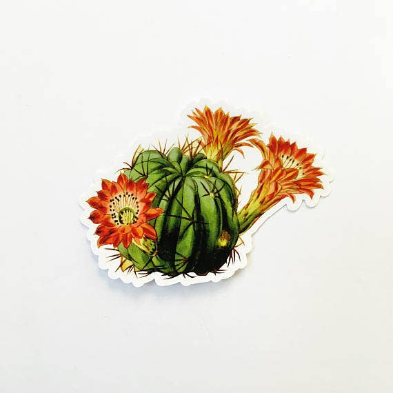 Pergamo Paper Goods - Wholesale Sticker - Red Flowering Cactus Plant Sticker