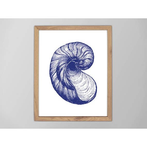 5” x 7” Seashell No. 05 Art Print for wholesale by The National Anthem