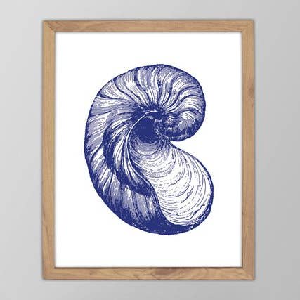 11” x 14” Seashell No. 05 Art Print for wholesale by The National Anthem
