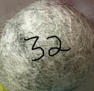 Little Lark - Wholesale Slingshot - Kids - Natural Wooden Slingshot, Unpainted wood with felt ammo31