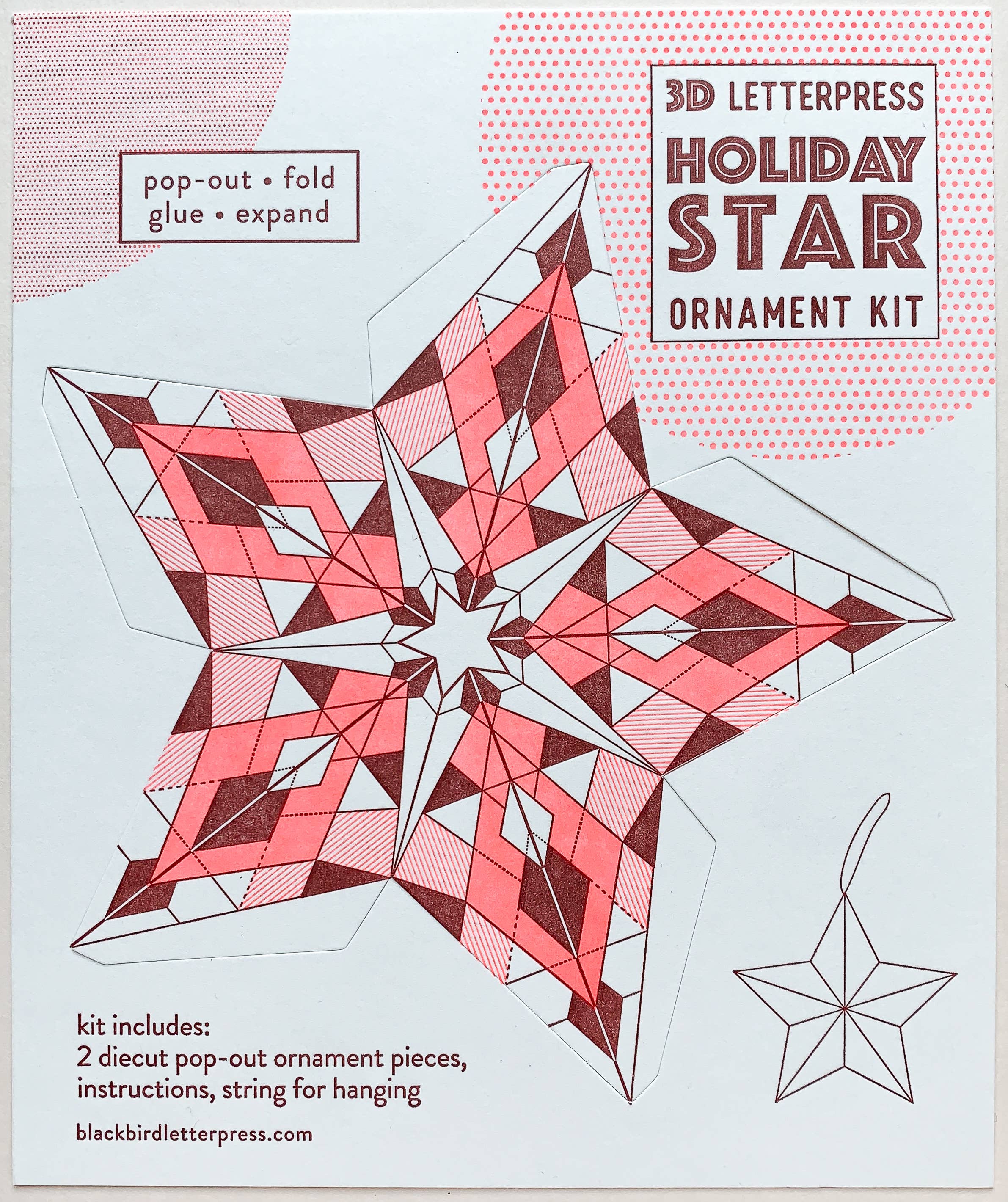 Blackbird Letterpress - Wholesale DIY Craft Kit - geometric star DIY ornament kit1