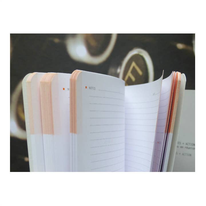 Exaclair - Wholesale Notebook - Rhodia Spiral Meeting Book (A4)3