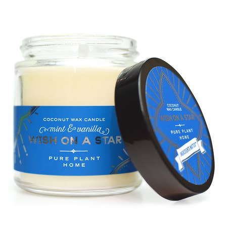 Pure Plant Home - Wholesale Jar/Filled Candle - 3.1 oz Holiday Clear Apothecary Jar Wish On A Star Mint/Vani0
