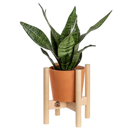 Hold on to Your Plants – wholesale Plant pot stand – Modern Plant Stand 7"1