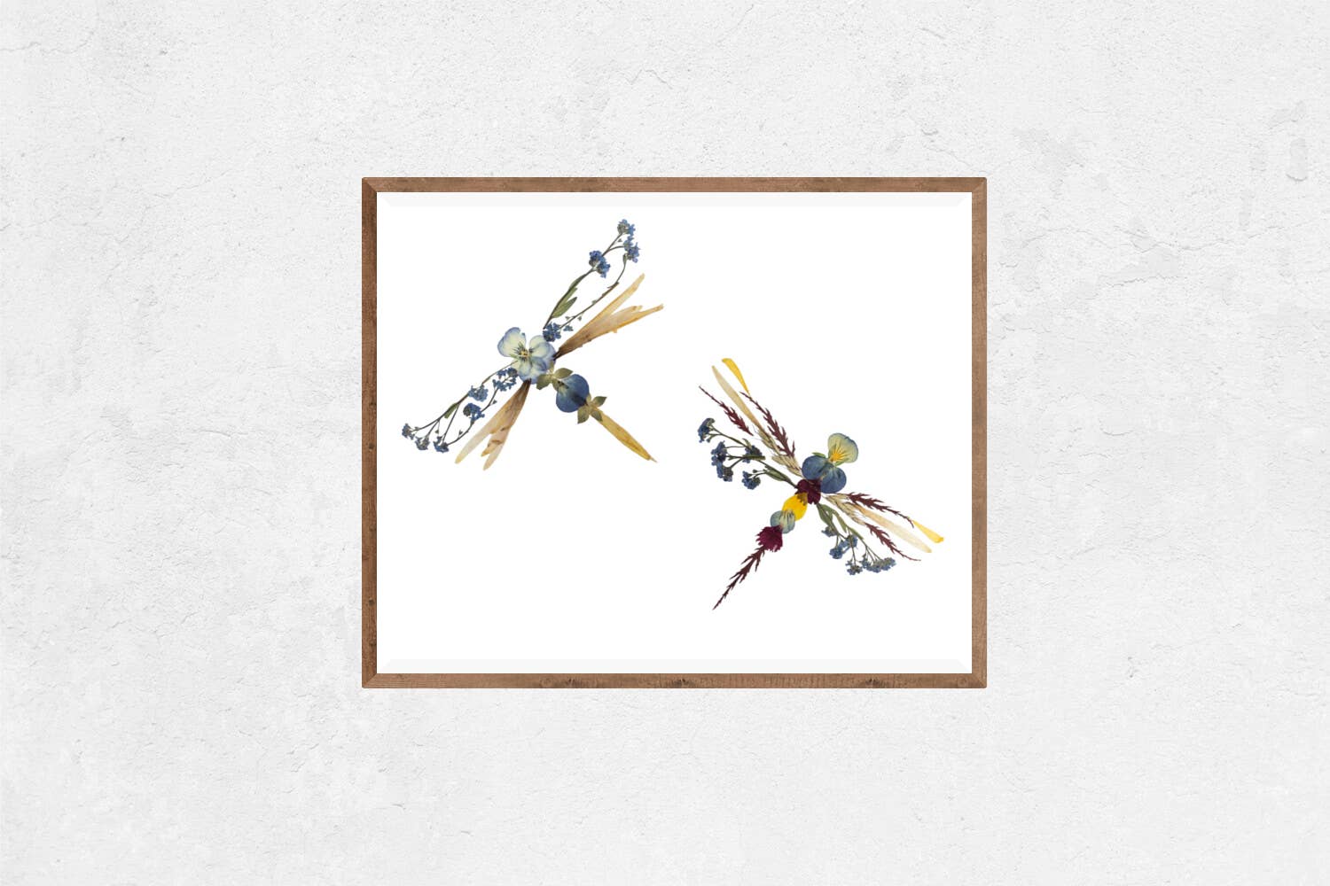 Oxeye Floral Co. - Wholesale Art Print - Dragonflies Print | Pressed Flower Art