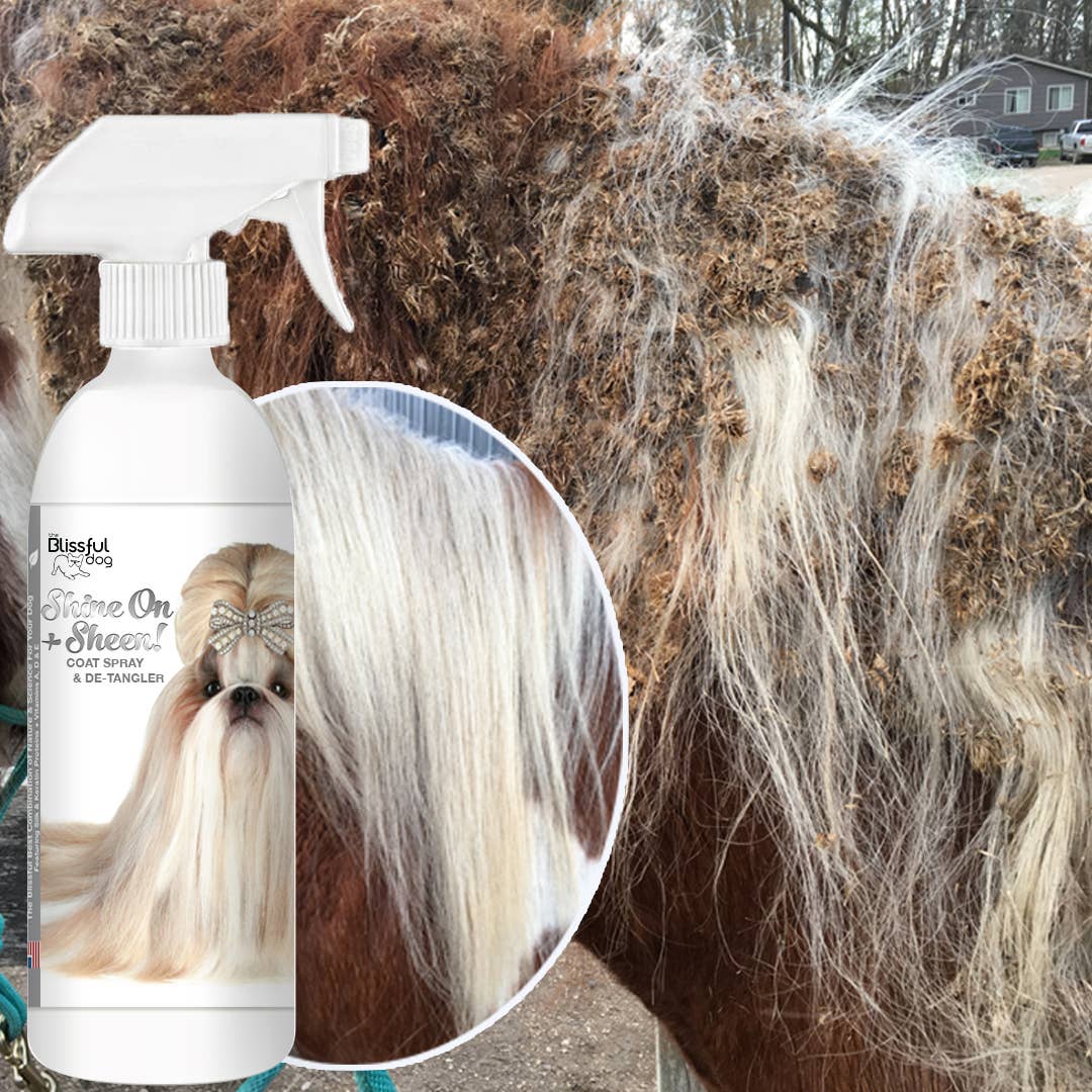 The Blissful Dog - Vente Après-shampoing – chien - Shine On+Sheen Après-shampooing et vernis à manteau canine7