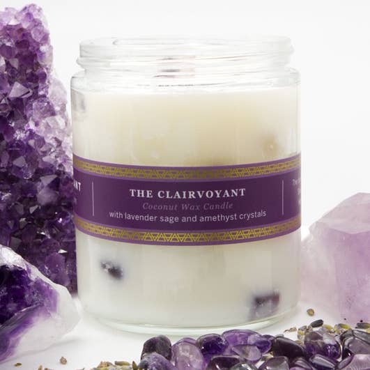 The Clairvoyant for wholesale by Pure Plant Home