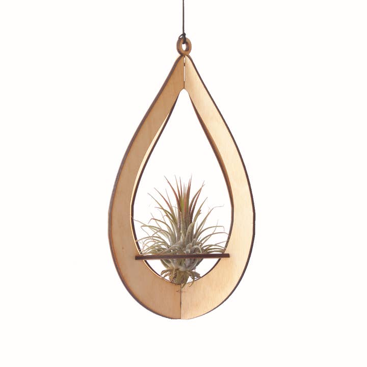 Savvie Studio - Wholesale Hanging Planter - Air Plant Hanger Teardrop Maple