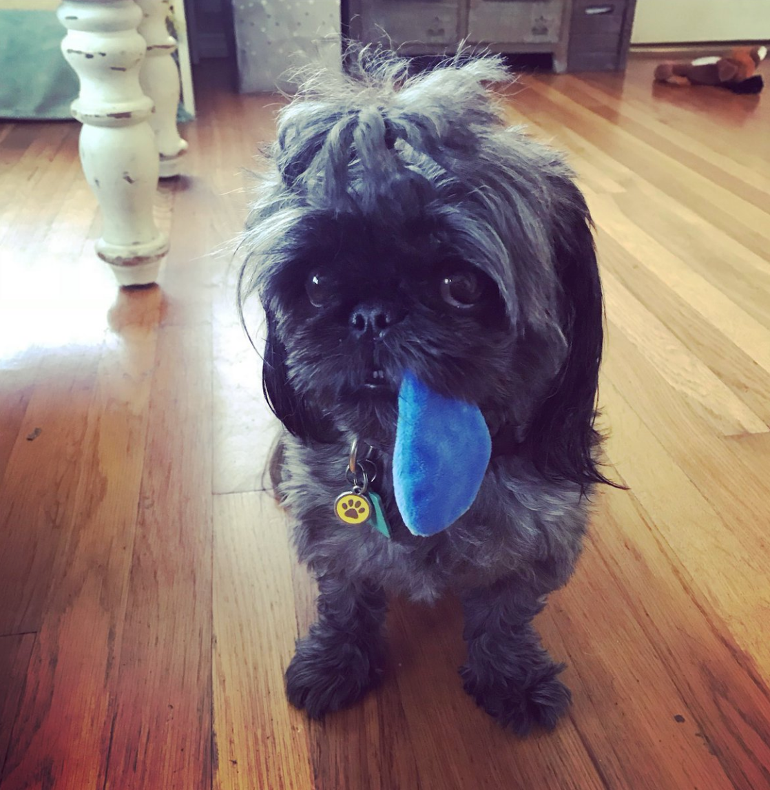 Moosh Walks - Wholesale Sokken - Kinderen - Billie eenhoorn sokken met 3D dierenstrepen, kinderen en volwassenen6