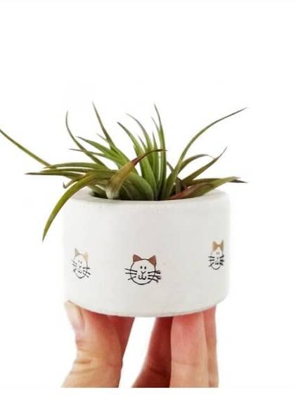 Small Cat Lover Vessel for wholesale by Dovekie & Finch