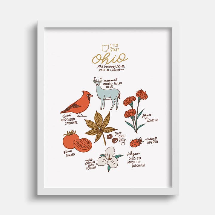 Ohio State Symbols for wholesale by Joanna Dee