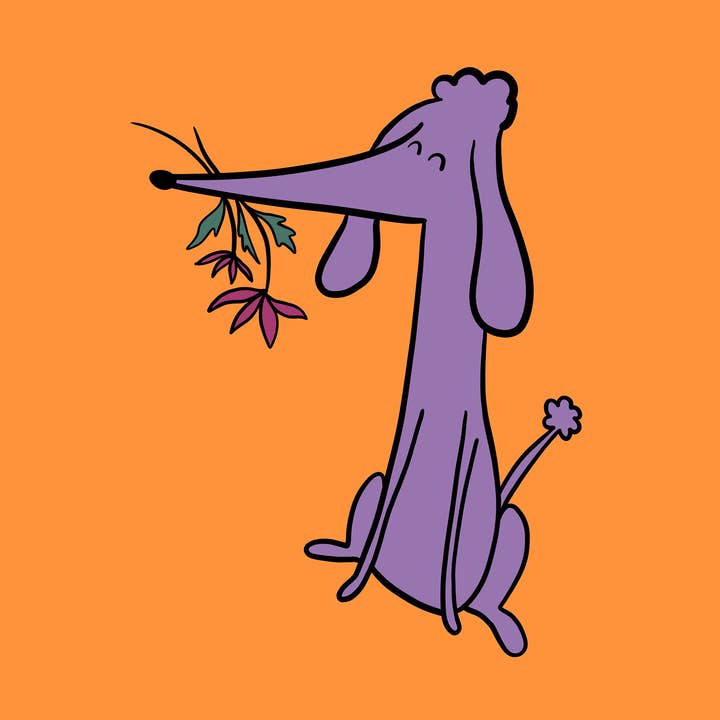 Cute Poodle with Flower Print, Poodle, Dog Art, Spring for wholesale by Fox & Crow Paper co.