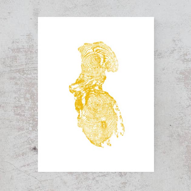 Raiz de sequoia, Pantone 7406, sem moldura, 18 “x 24" por atacado de Timber Wood Prints